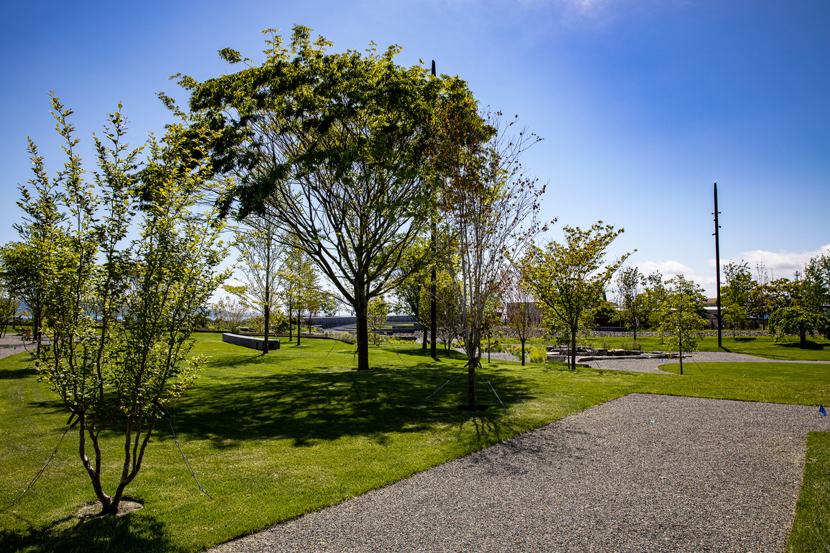 Benefits of Trees to Commercial Properties